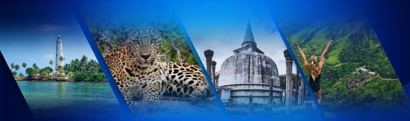 Explore Sri Lanka
