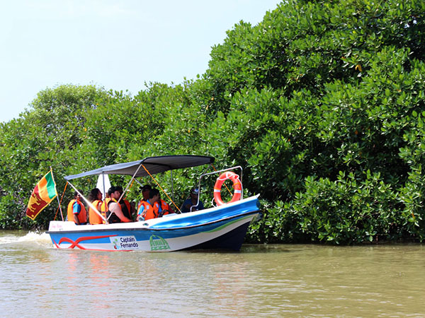 Negombo Lagoon Tour