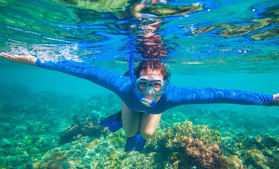Snorkeling / Diving / Surfing